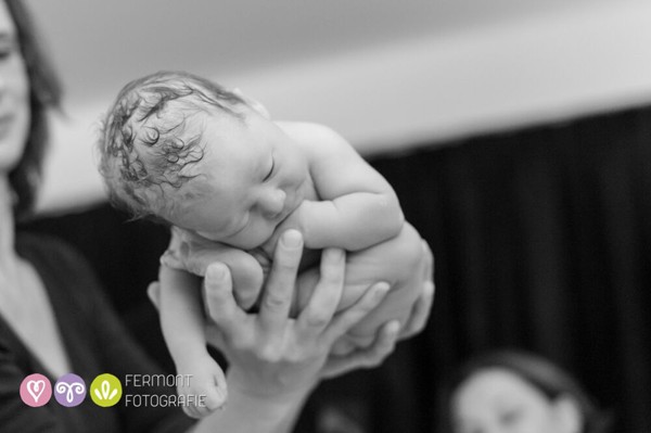 Incredible photographic images show how babies fit into wombs