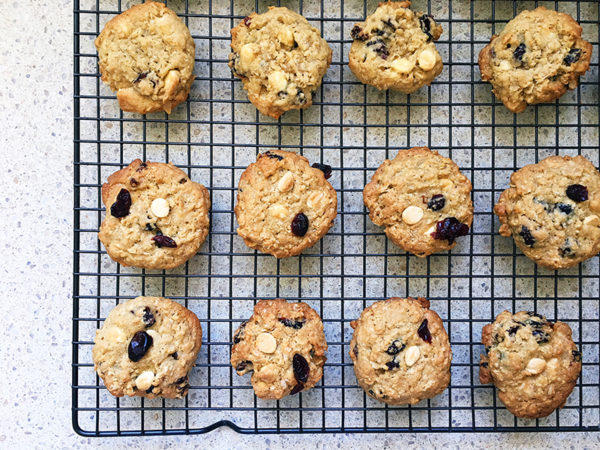 white chocolate cranberry oat biscuit cookies