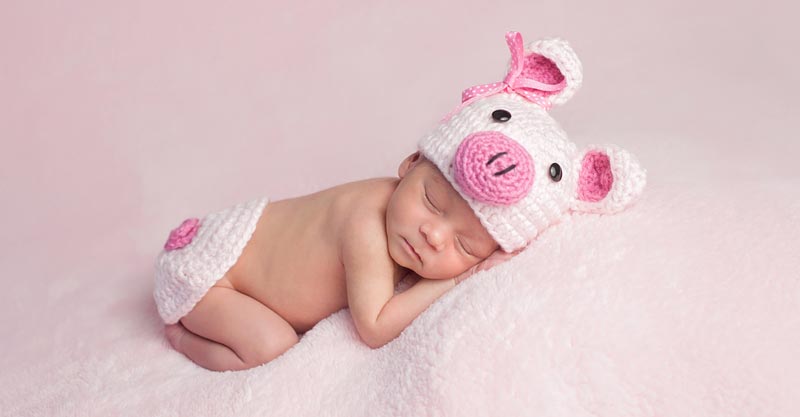 Chinese New Year 19 What To Expect From Babies Born In The Year Of The Pig